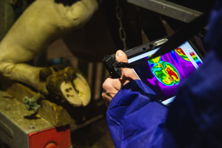 A man taking a thermal image of a cow's hoof